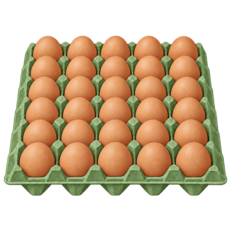 Large eggs