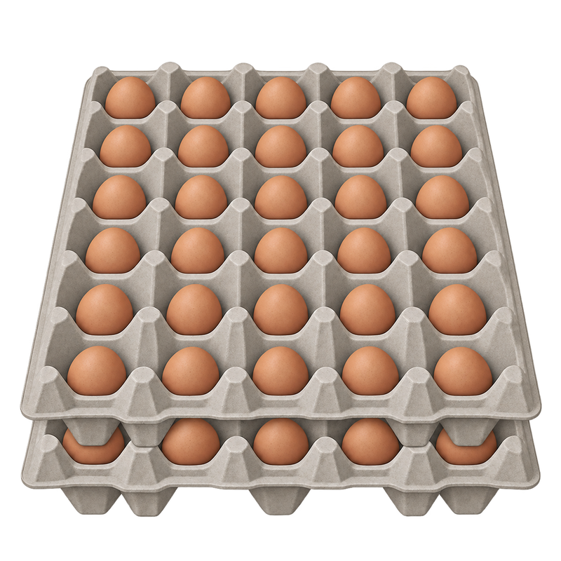Pullets eggs