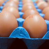 Medium tray of Free Range Eggs (30 eggs)