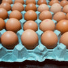 Large tray of Free Range Eggs (30 eggs)