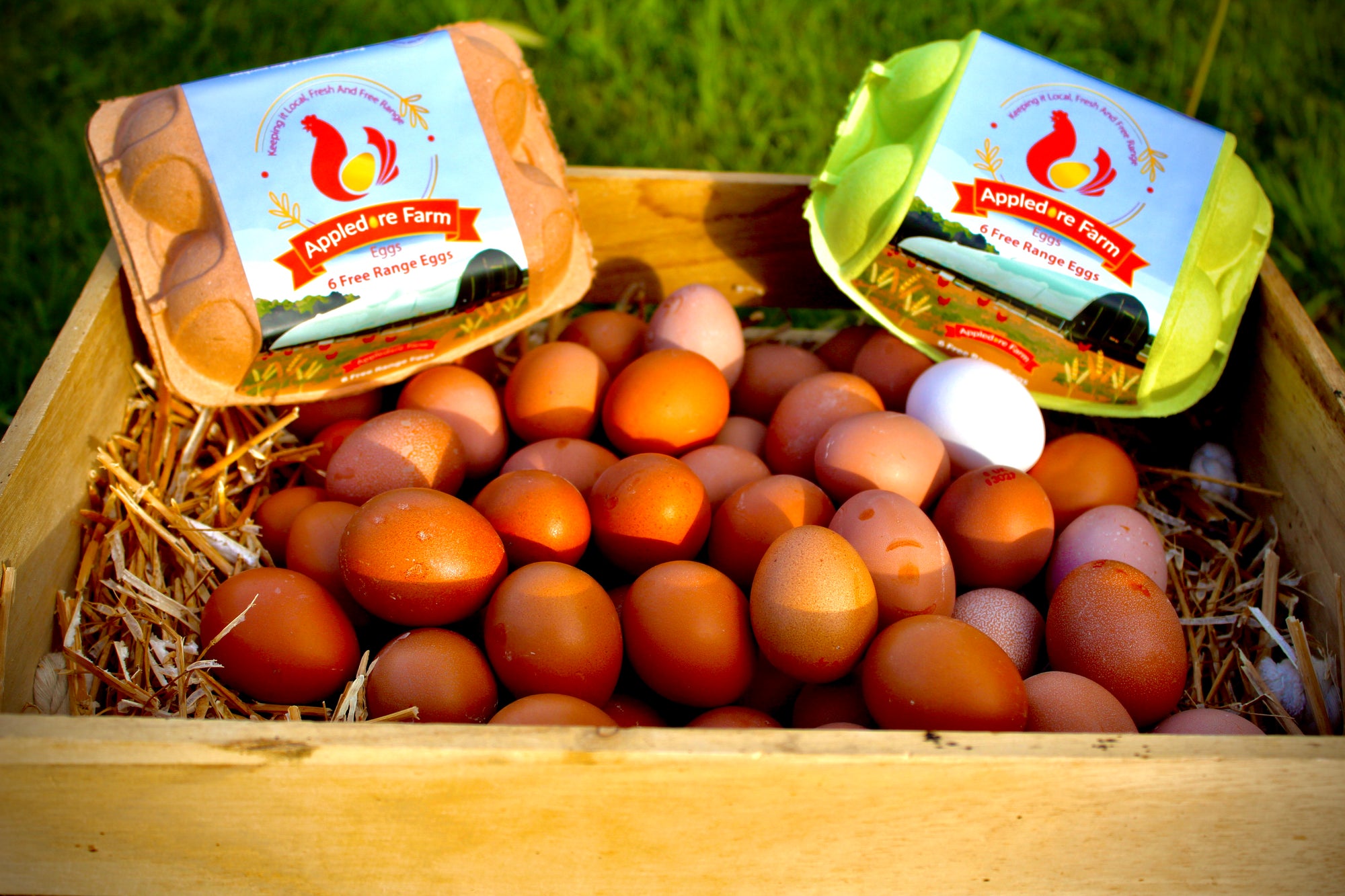 2 x tray of pullets Free Range Eggs (60 eggs)