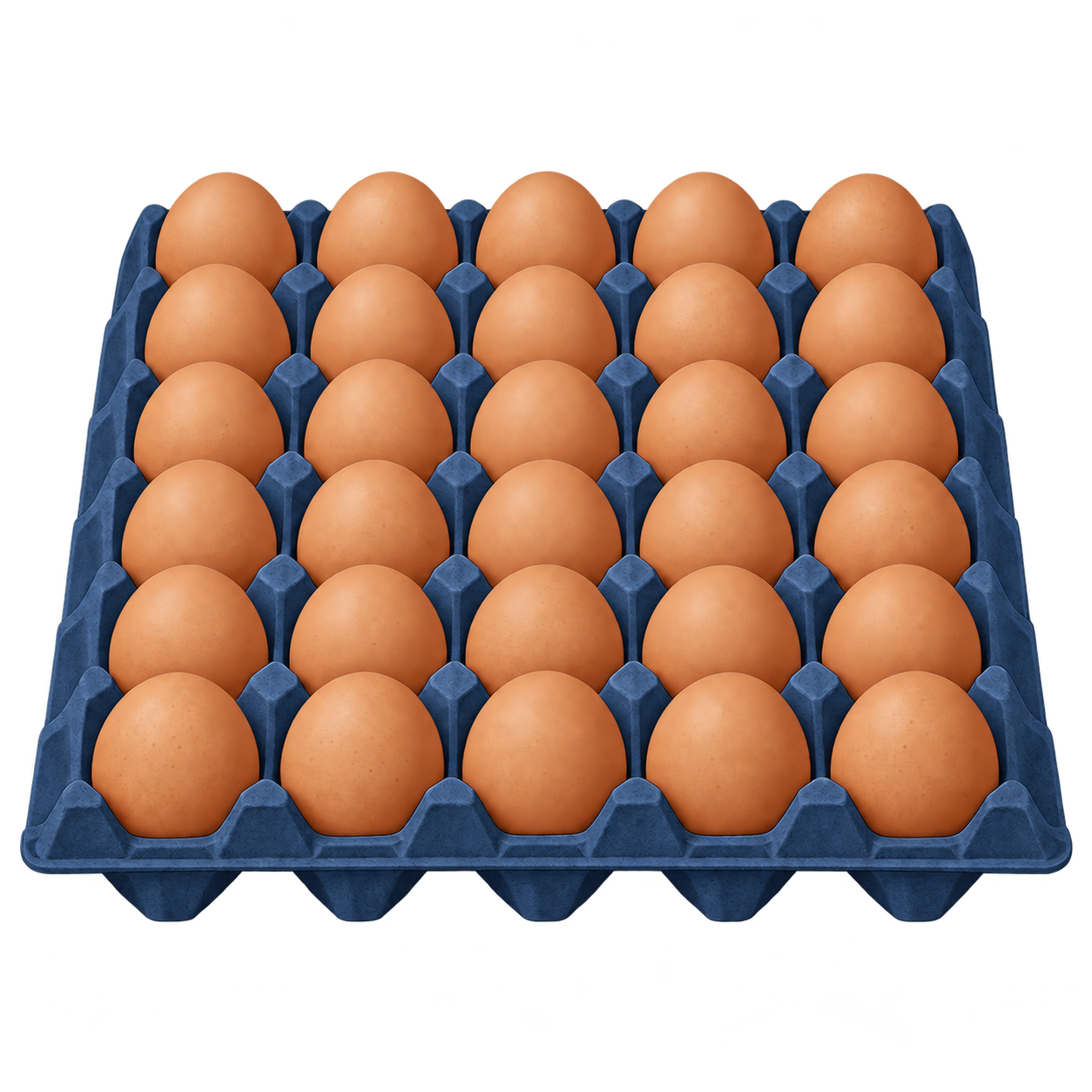 Medium eggs