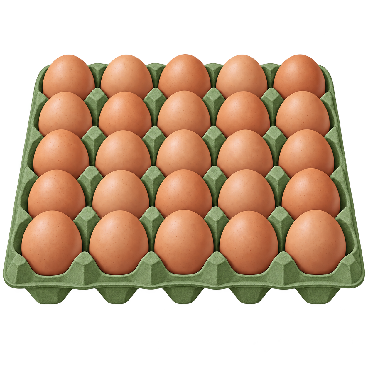 Large trays